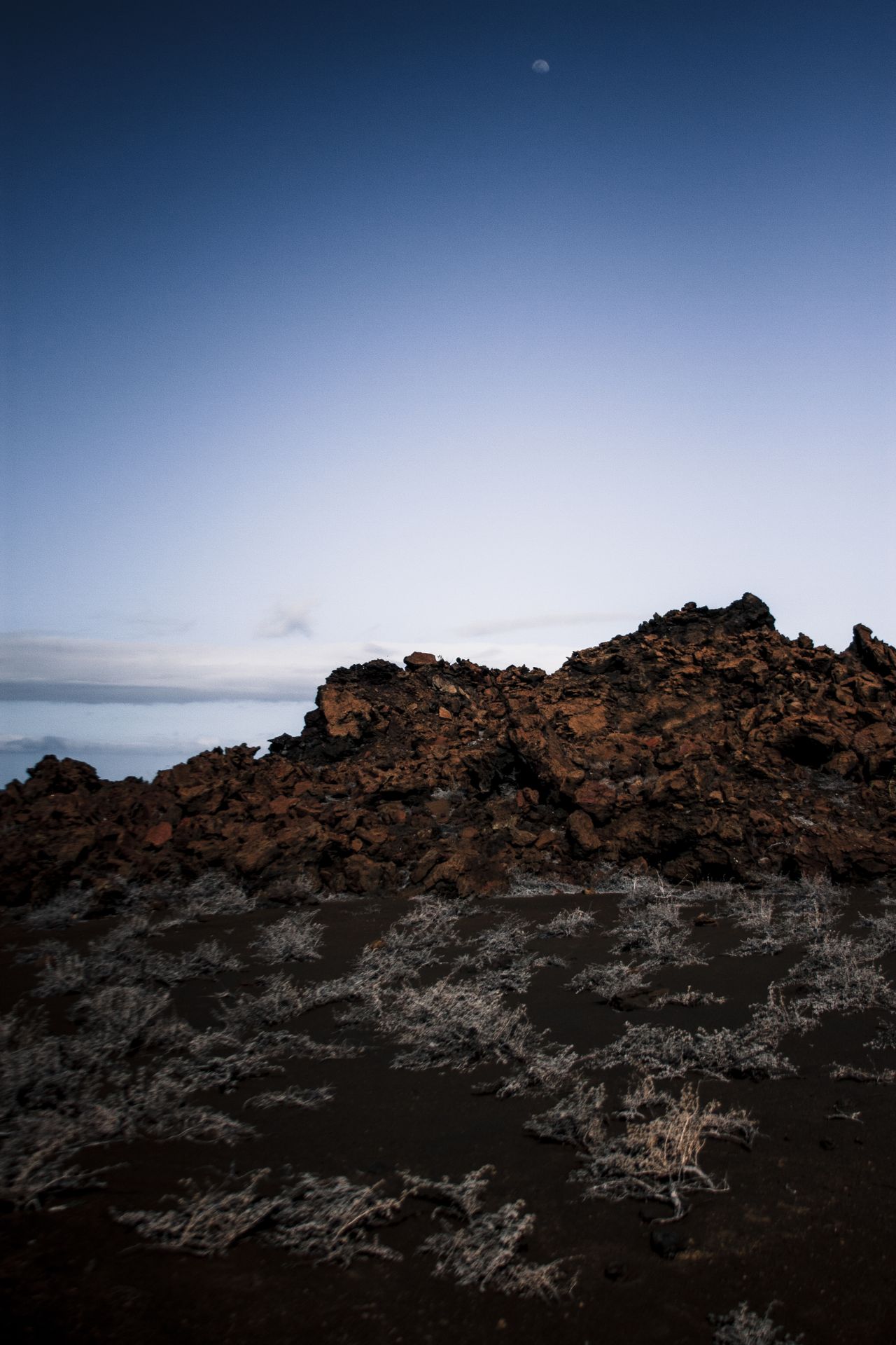 Galapagos